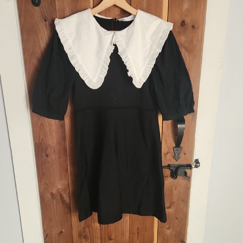 Zara Black Dress with White Collar